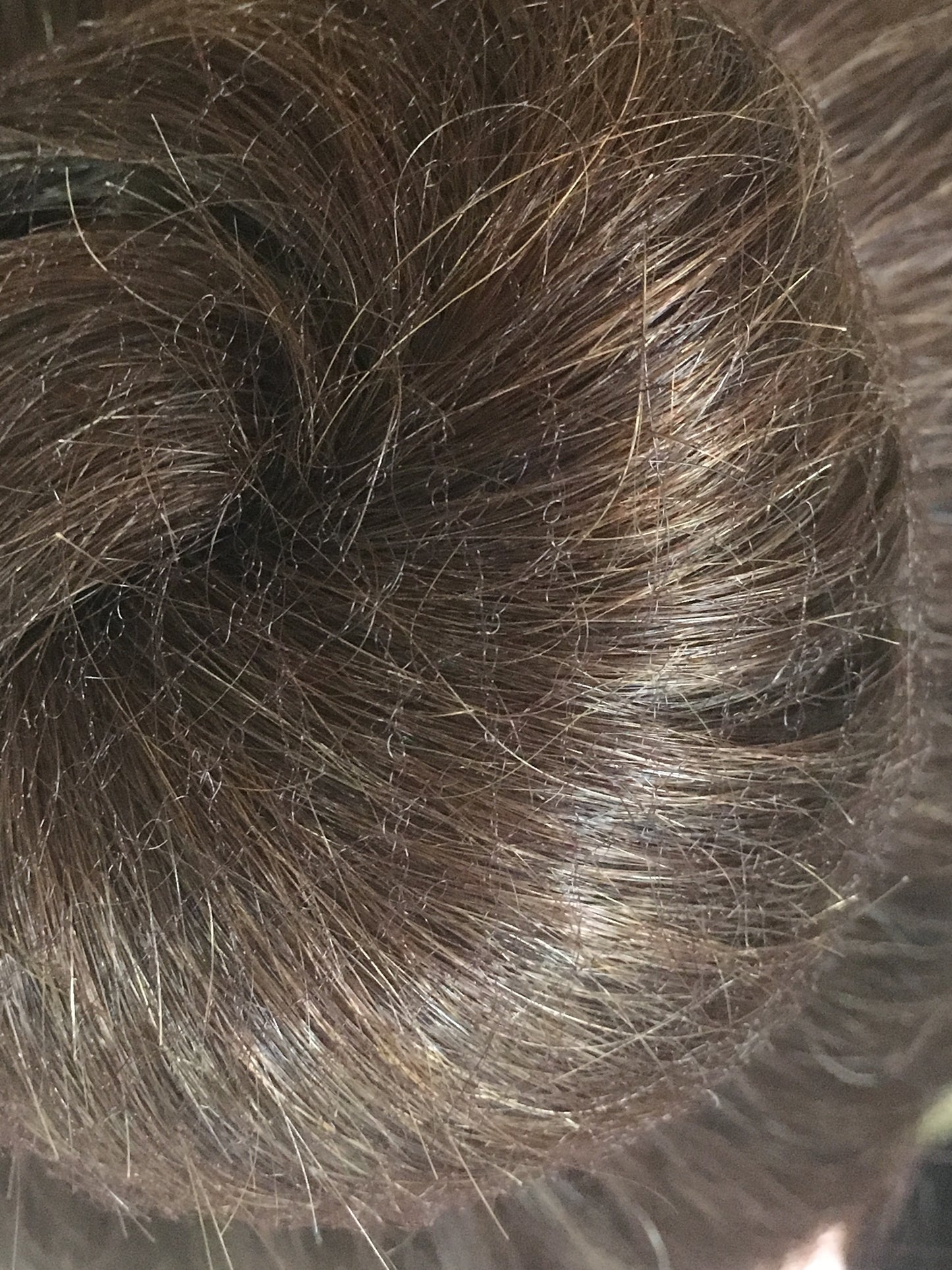 Fine Bun Nets Various Colours
