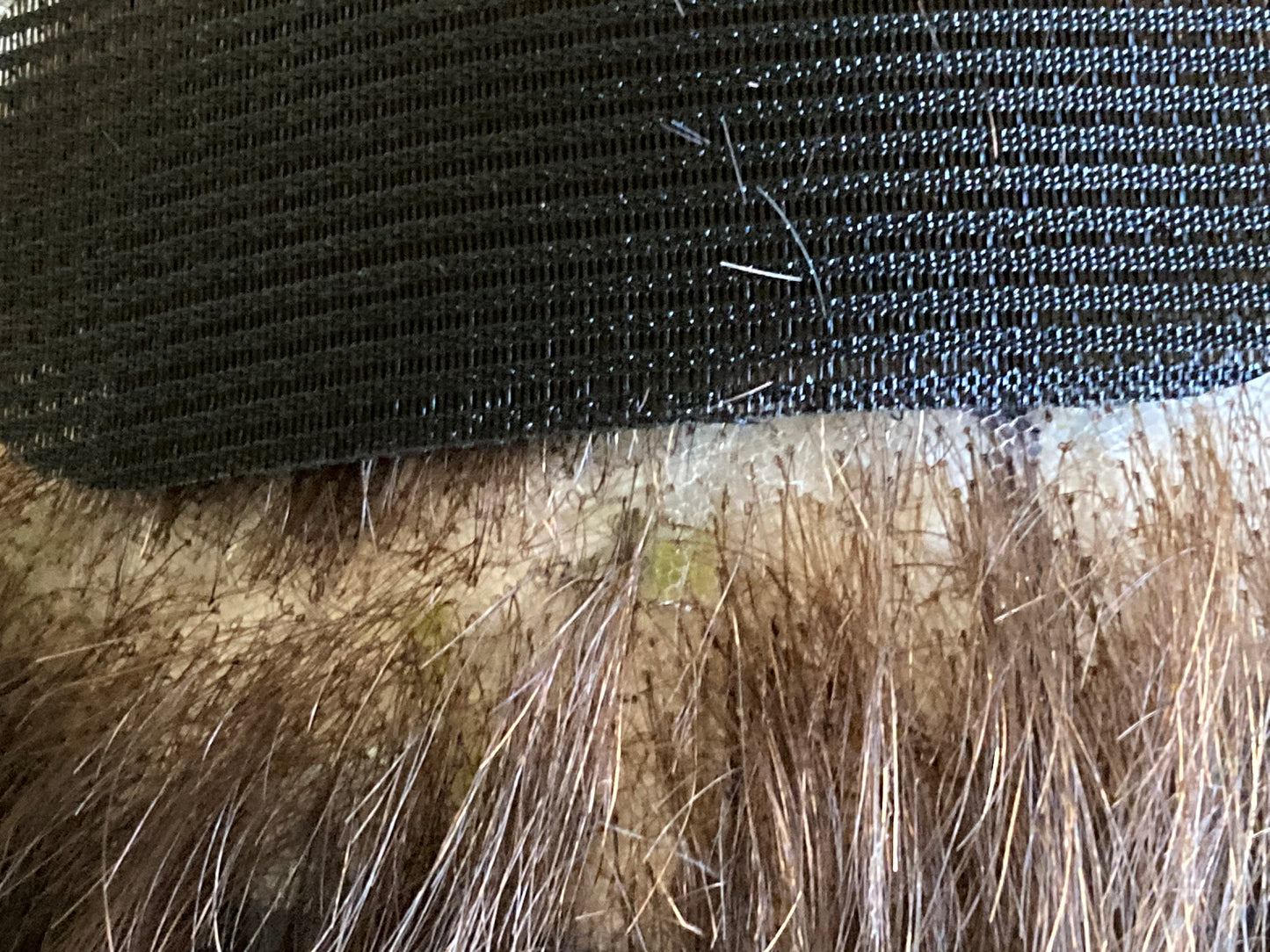 Velcro Type Hair Pads - The Wig Department Ltd